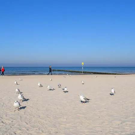 Amazing In With Wifi Ferienhaus *