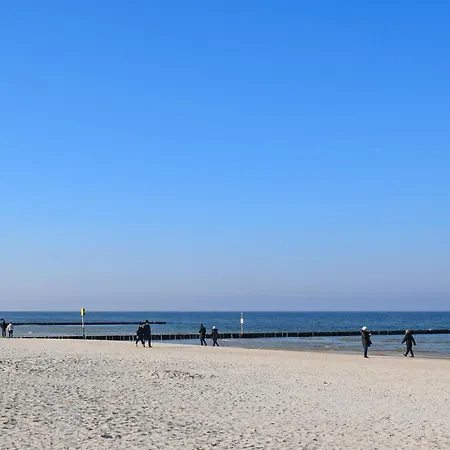 Amazing In With Wifi