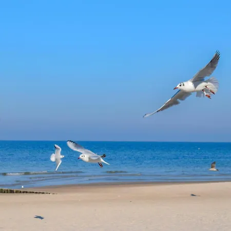 Amazing In With Wifi * Postomino