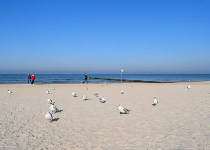 Amazing In With Wifi Сasa de vacaciones *