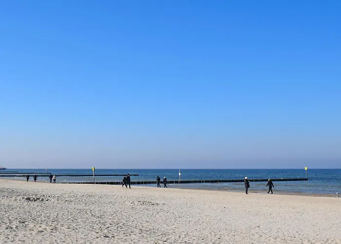 Amazing In With Wifi