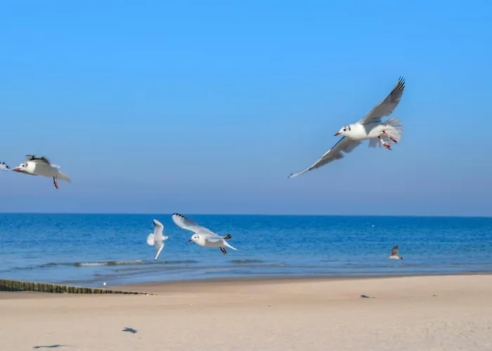 Amazing In With Wifi * Postomino