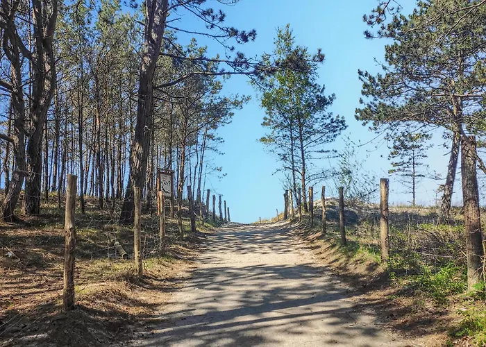 Amazing In With Wifi Сasa de vacaciones